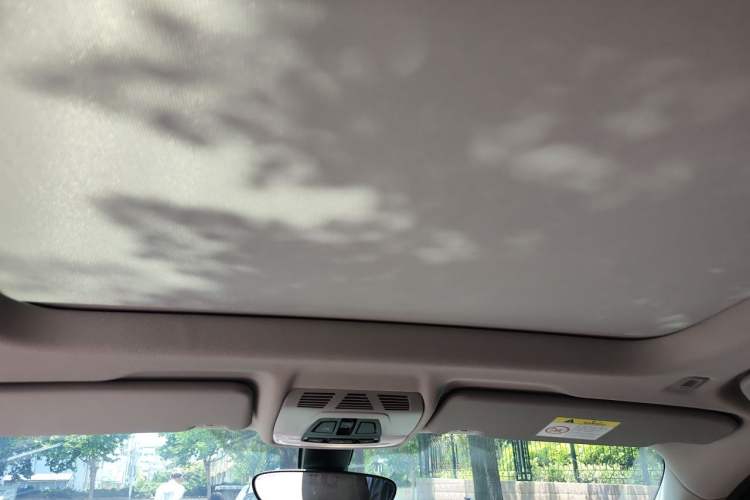 Used BMW X1 2020 sDrive20Li Fashion Model Headliner