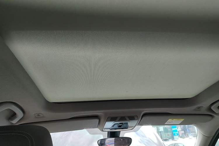 Used BMW X1 2020 sDrive20Li Fashion Model Headliner