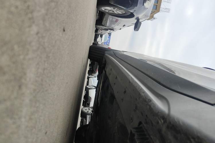 Used BMW X1 2020 sDrive20Li Fashion Model Right Side Sill