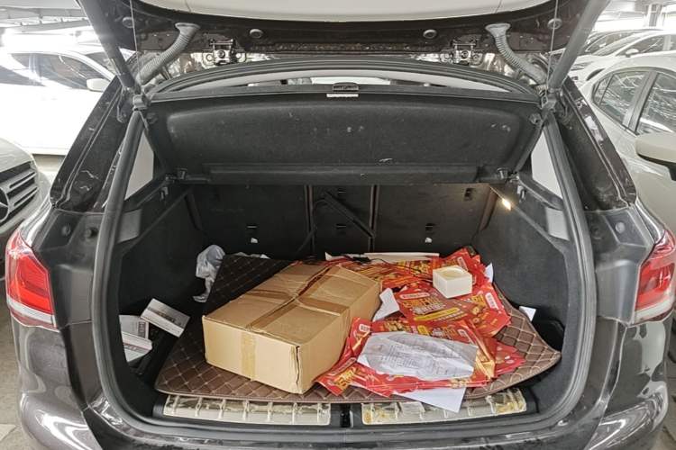 Used BMW X1 2020 sDrive25Li Leading Model Trunk