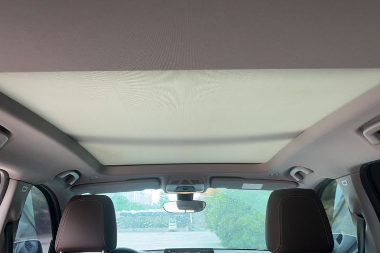 Used BMW X1 2020 sDrive20Li Premium Edition Headliner