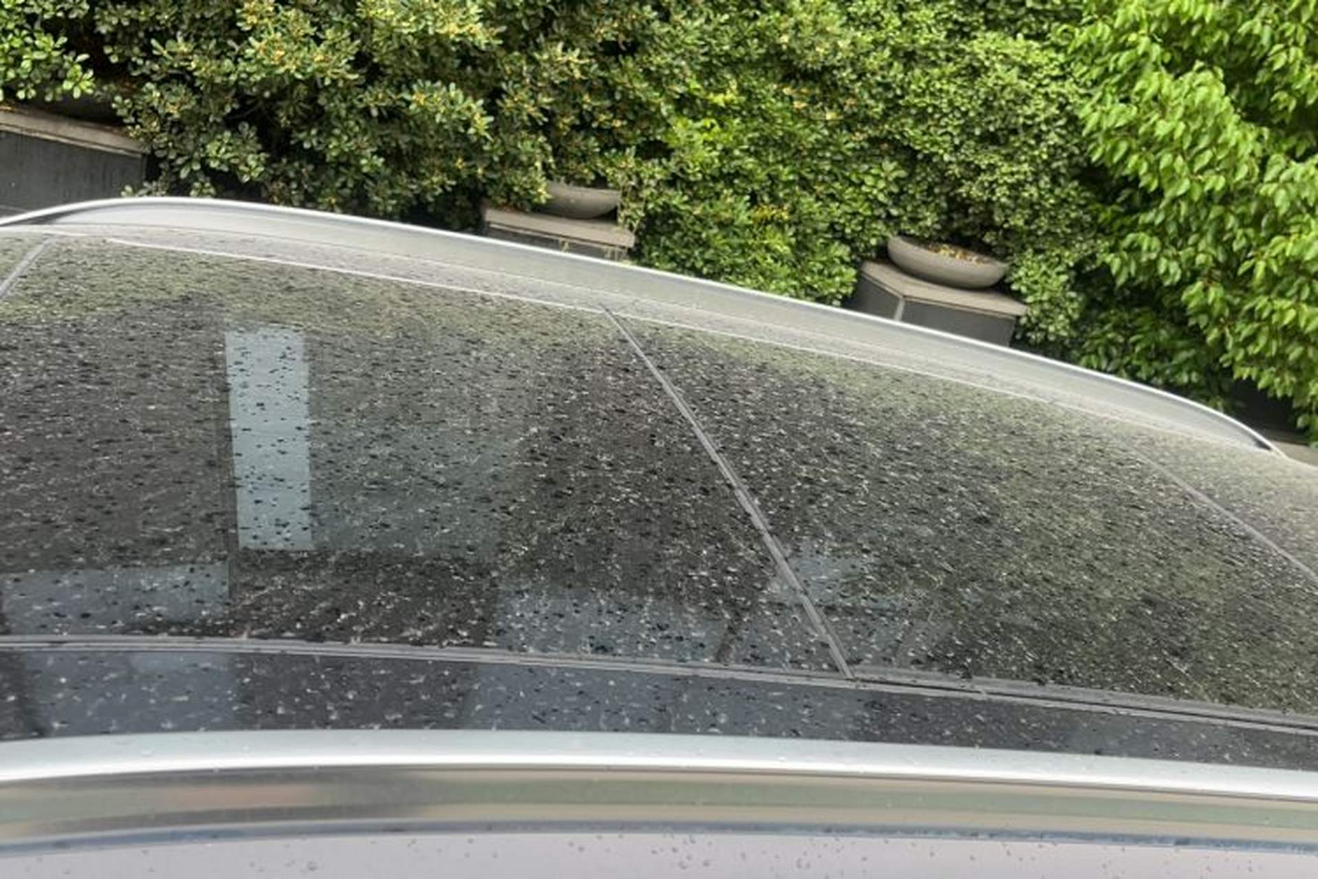 Used BMW X1 2020 sDrive20Li Premium Edition Roof