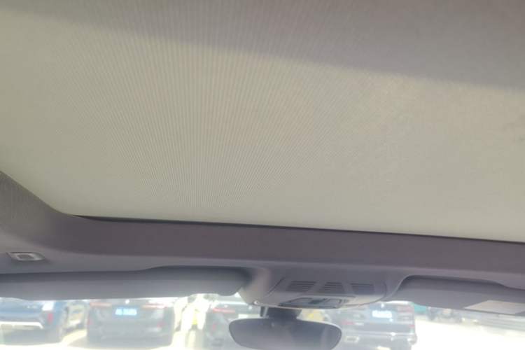 Used BMW X1 2020 sDrive25Li Leading Model Headliner