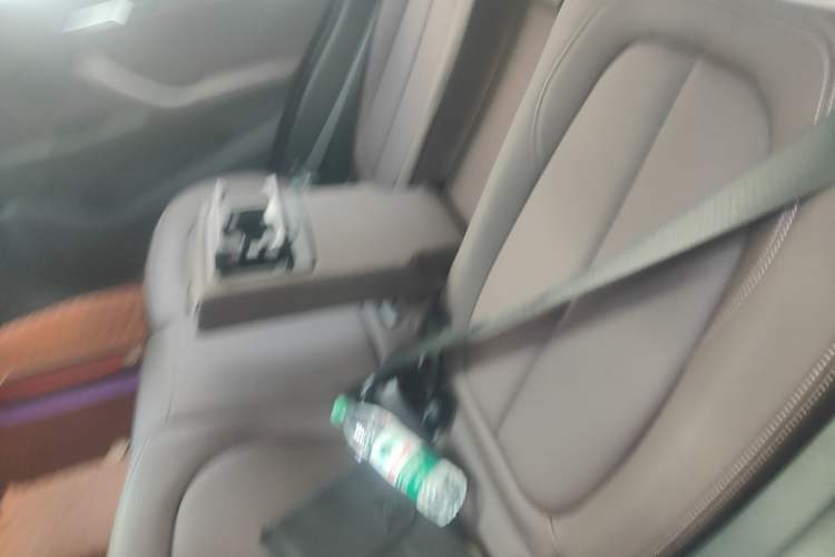 Used BMW X1 2020 sDrive25Li Leading Model Left Rear Seat
