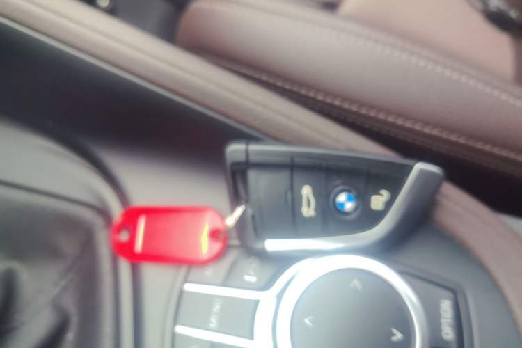 Used BMW X1 2020 sDrive25Li Leading Model Vehicle Key