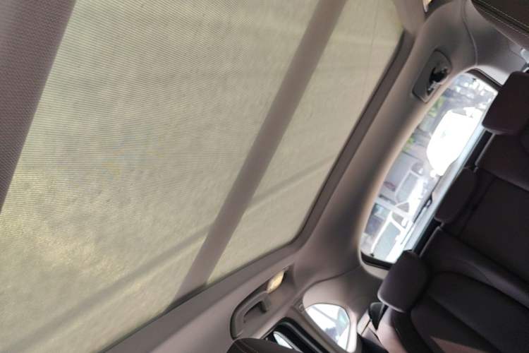 Used BMW X1 2020 sDrive20Li Fashion Model Headliner