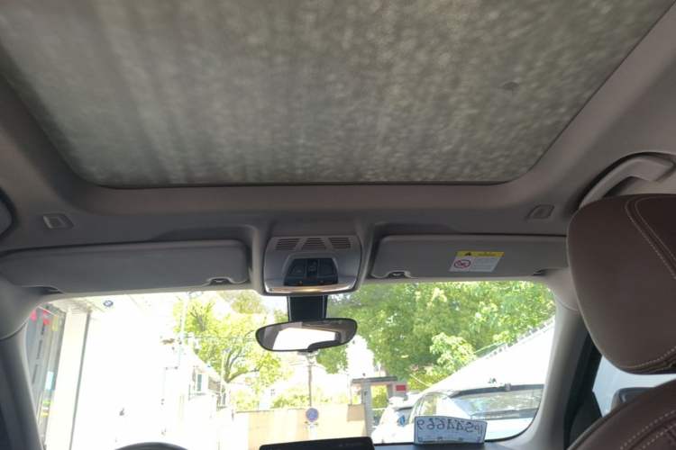 Used BMW X1 2020 sDrive20Li Premium Edition Headliner