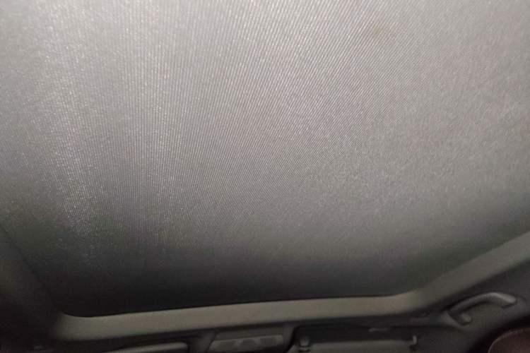Used BMW X1 2020 sDrive20Li Premium Edition Headliner