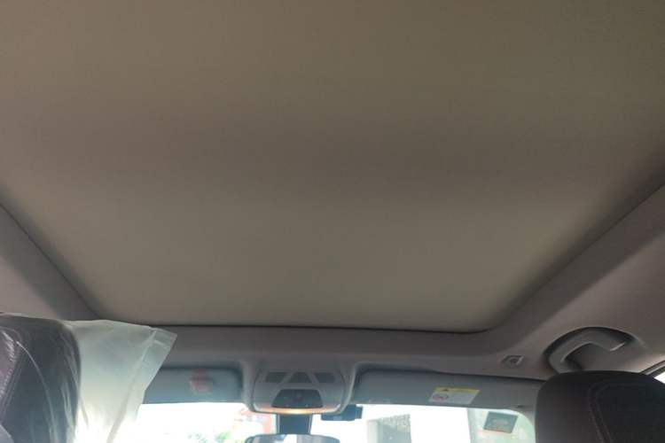 Used BMW X1 2020 sDrive20Li Premium Edition Headliner