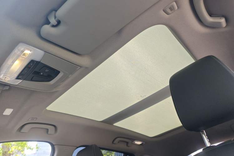 Used BMW X1 2020 sDrive20Li Fashion Model Headliner