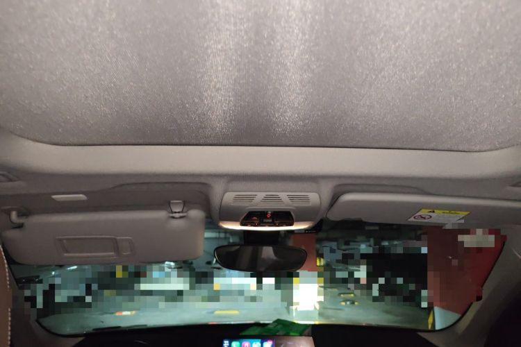 Used BMW X1 2020 sDrive25Li Leading Model Headliner