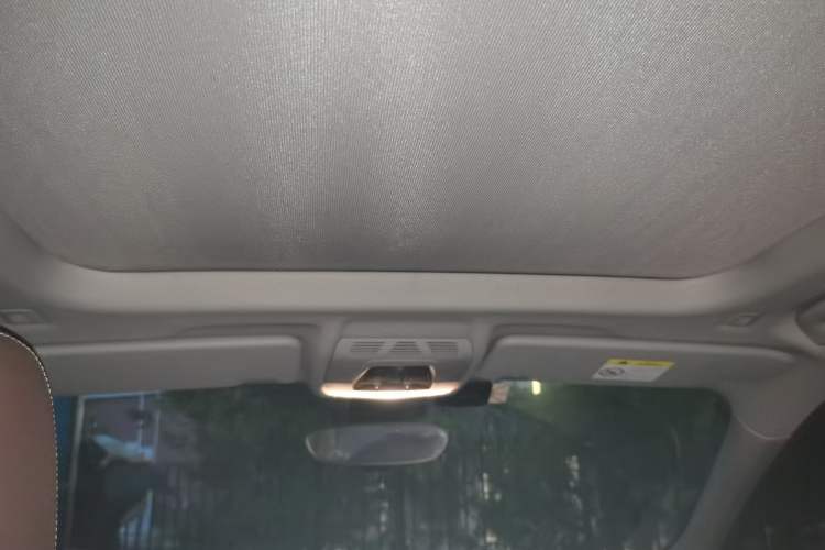 Used BMW X1 2020 sDrive20Li Premium Edition Headliner
