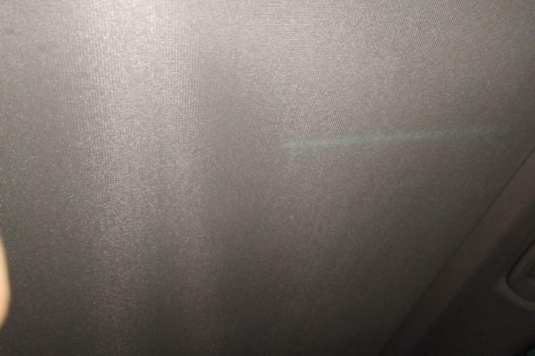 Used BMW X1 2020 sDrive20Li Premium Edition Headliner