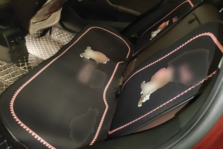 Used BMW X1 2020 sDrive20Li Premium Edition Left Rear Seat