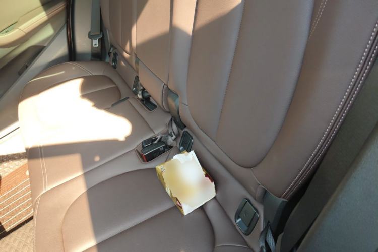 Used BMW X1 2020 sDrive20Li Fashion Model Left Rear Seat