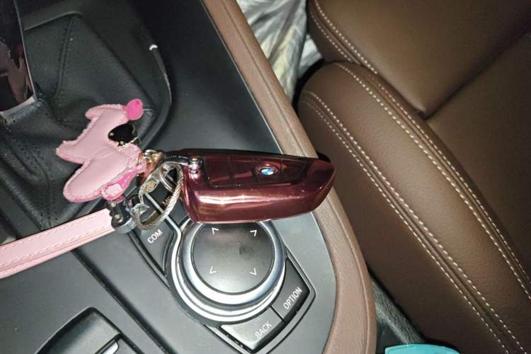 Used BMW X1 2020 sDrive25Li Leading Model Vehicle Key