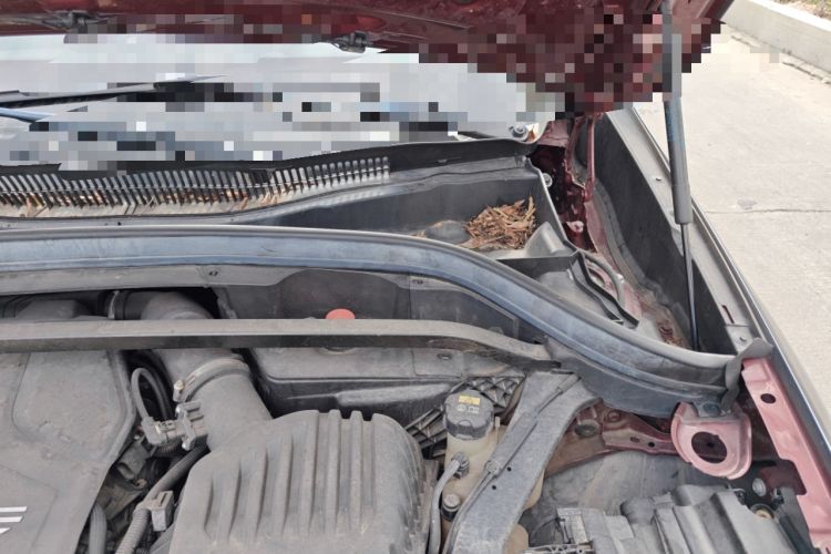 Used BMW X1 2020 sDrive25Li Leading Model Engine Bay Left