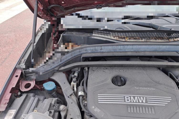 Used BMW X1 2020 sDrive25Li Leading Model Engine Bay Right