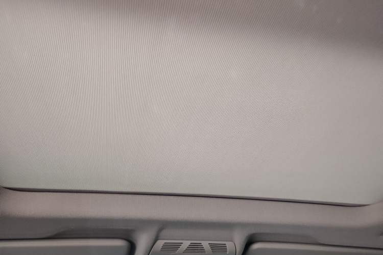 Used BMW X1 2020 sDrive25Li Leading Model Headliner