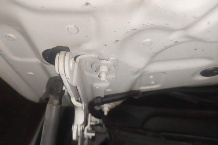 Used BMW X1 2020 sDrive25Li Leading Model Engine Bay Right