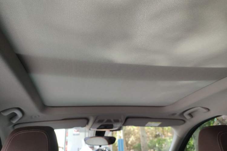 Used BMW X1 2020 sDrive20Li Premium Edition Headliner