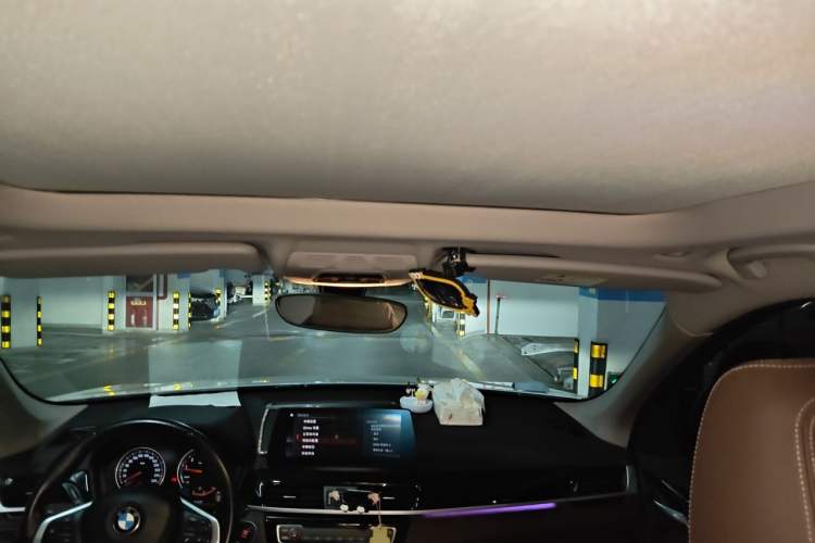 Used BMW X1 2020 sDrive25Li Leading Model Headliner