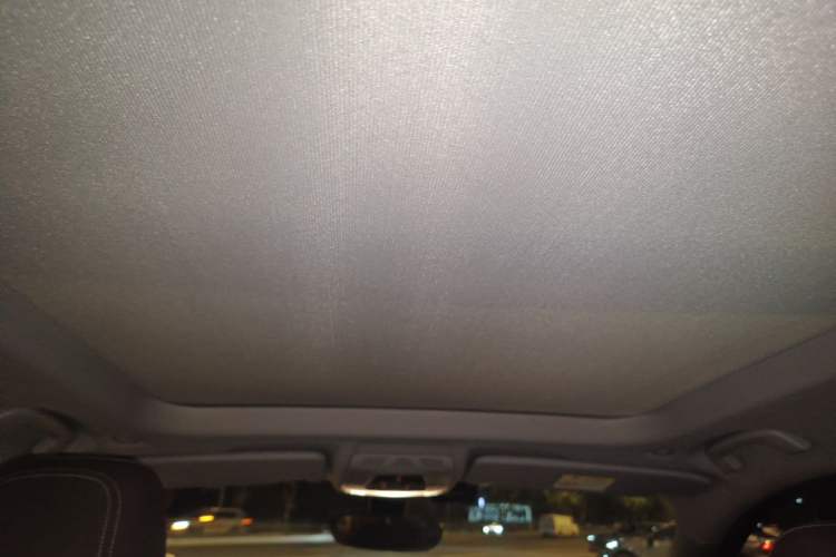 Used BMW X1 2020 sDrive20Li Premium Edition Headliner
