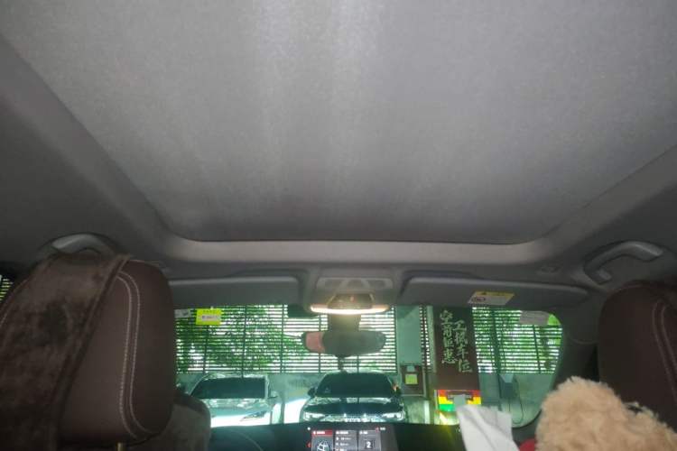 Used BMW X1 2020 xDrive25Li Luxury Edition Headliner