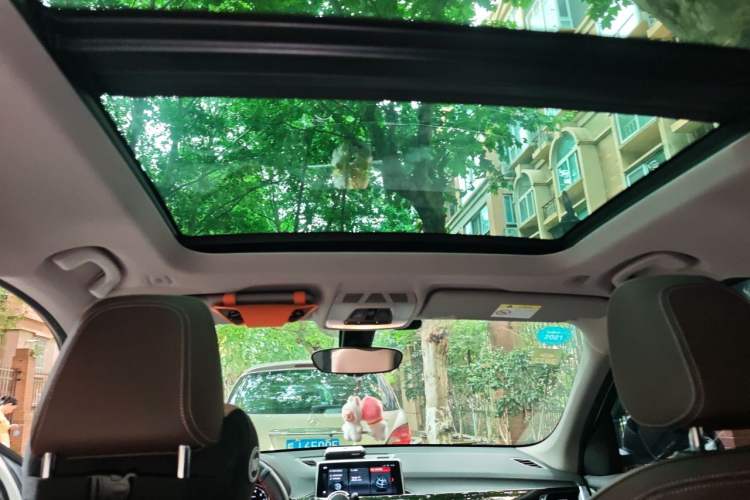 Used BMW X1 2020 sDrive20Li Fashion Model Headliner