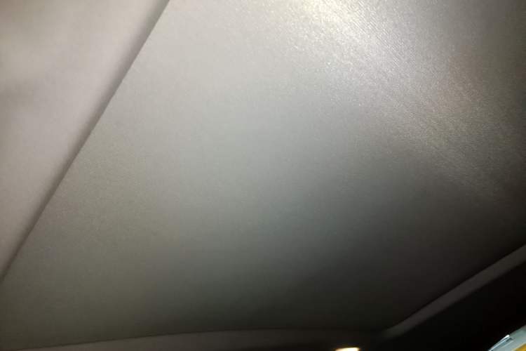 Used BMW X1 2020 sDrive20Li Fashion Model Headliner
