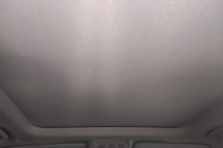 Used BMW X1 2020 sDrive20Li Fashion Model Headliner