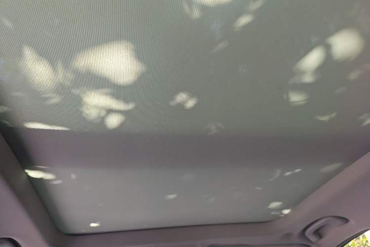 Used BMW X1 2020 sDrive20Li Fashion Model Headliner