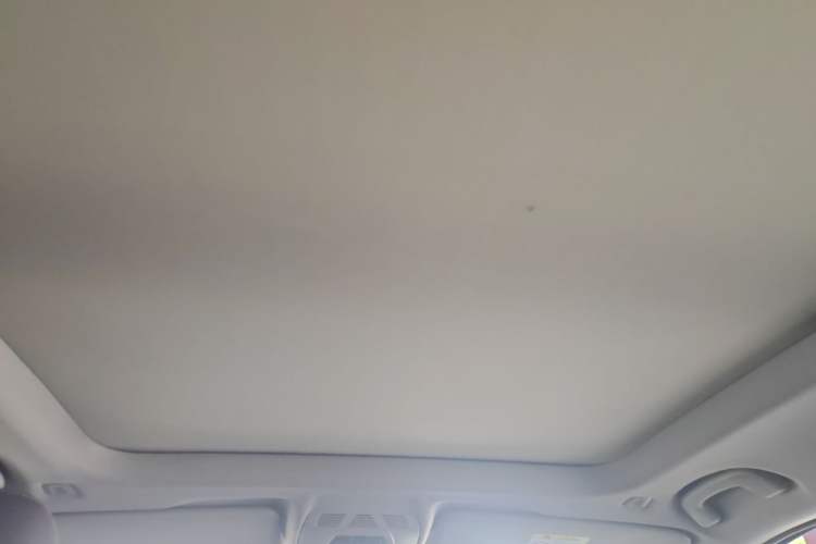 Used BMW X1 2020 sDrive20Li Premium Edition Headliner