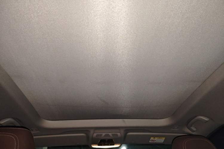 Used BMW X1 2020 sDrive20Li Fashion Model Headliner