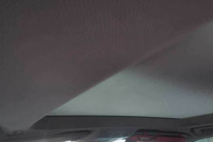 Used BMW X1 2020 sDrive20Li Premium Edition Headliner