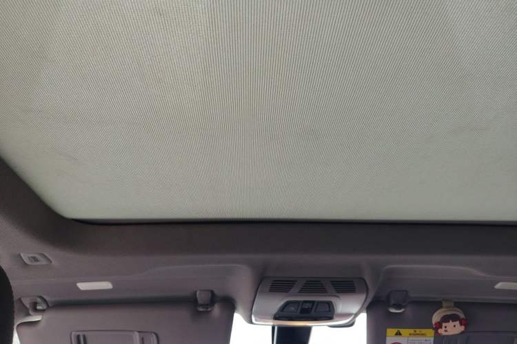 Used BMW X1 2020 sDrive20Li Premium Edition Headliner