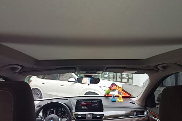 Used BMW X1 2020 xDrive25Li Luxury Edition Headliner