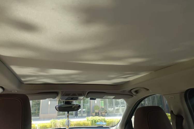 Used BMW X1 2020 sDrive20Li Fashion Model Headliner