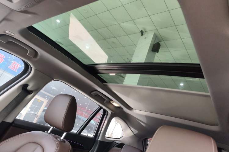 Used BMW X1 2020 sDrive20Li Premium Edition Headliner