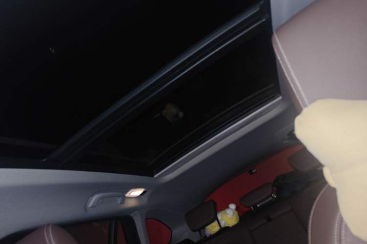Used BMW X1 2020 sDrive20Li Fashion Model Headliner