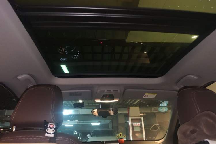 Used BMW X1 2020 sDrive20Li Fashion Model Headliner