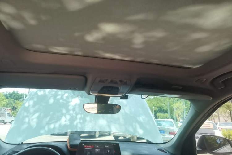 Used BMW X1 2020 sDrive25Li Leading Model Headliner
