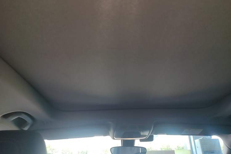 Used BMW X1 2020 sDrive20Li Fashion Model Headliner