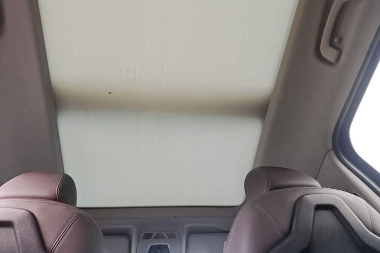 Used BMW X1 2020 sDrive20Li Fashion Model Headliner