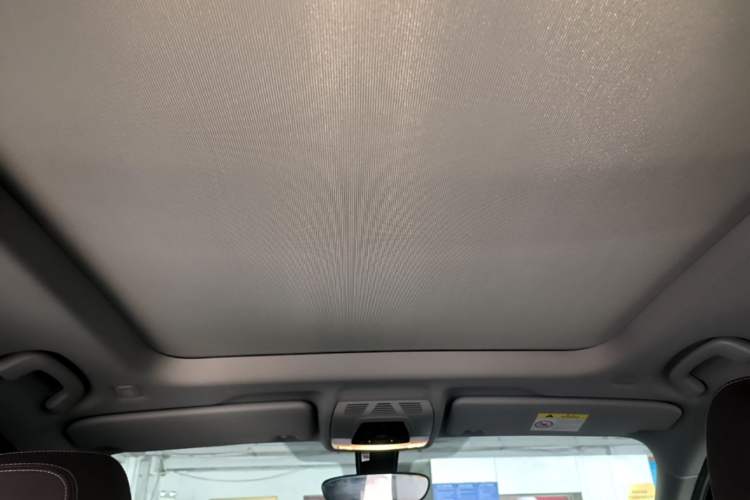 Used BMW X1 2020 sDrive20Li Premium Edition Headliner
