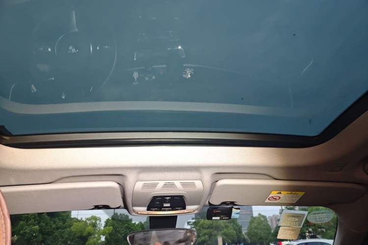 Used BMW X1 2020 sDrive20Li Premium Edition Headliner