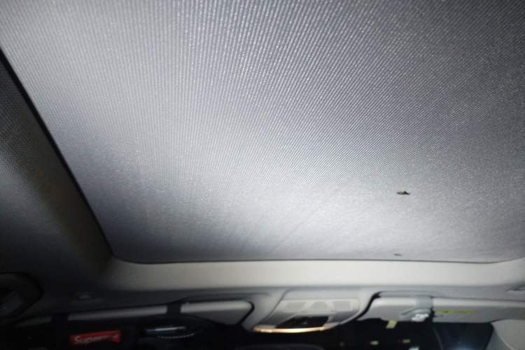 Used BMW X1 2020 sDrive25Li Leading Model Headliner