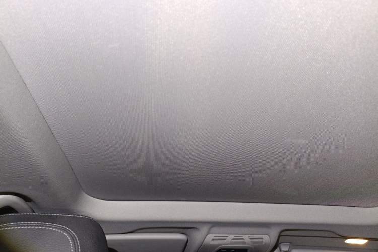 Used BMW X1 2020 sDrive20Li Fashion Model Headliner