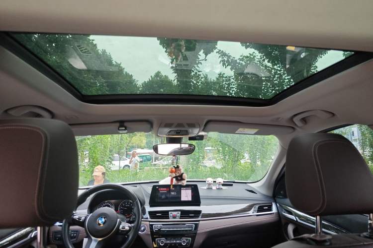 Used BMW X1 2020 xDrive25Li Luxury Edition Headliner