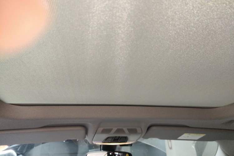 Used BMW X1 2020 sDrive20Li Fashion Model Headliner